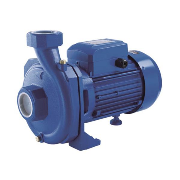 HCPF-60.jpg